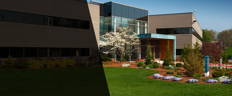 Timmonsville Landscapers