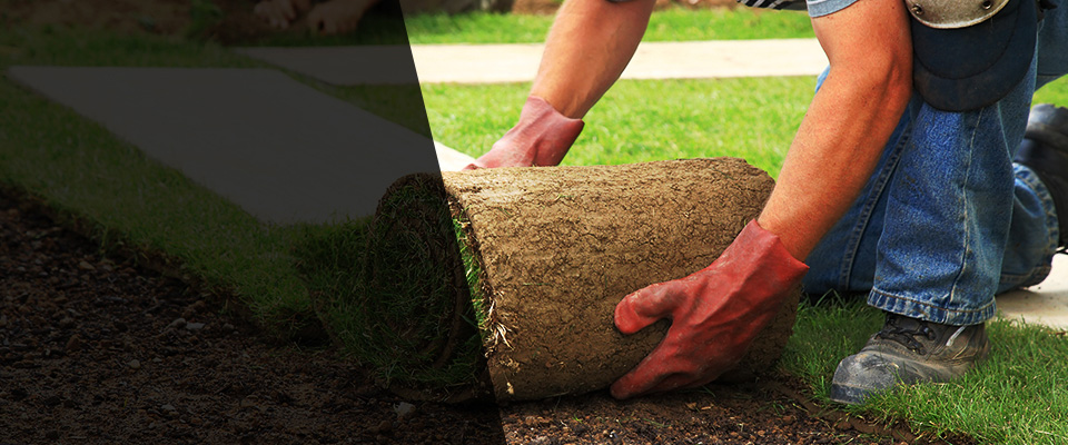 Timmonsville Landscapers